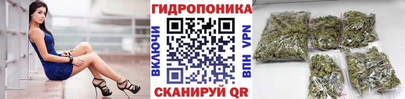 Купить закладку Метадон  СОЛЬ  Cocaine  ГАШ  Мефедрон  Конопля  Пересвет