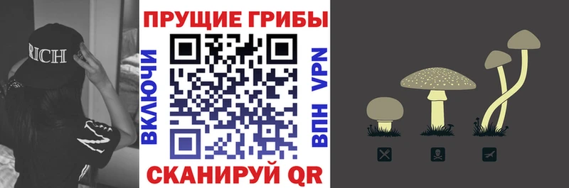 Галлюциногенные грибы ЛСД  Купить закладки  Пересвет 